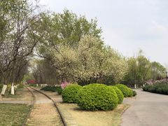 -永定河休闲森林公园