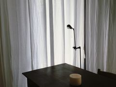 -MOJ coffee(瓯海泽雅水碓坑店)