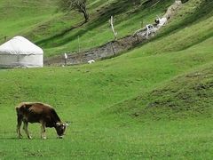 -新疆那拉提国家旅游度假区