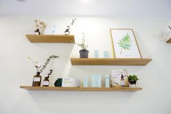 -悦芳庭美肤美体品牌集合店