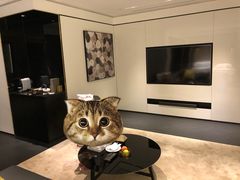-尼依格罗香港美利酒店