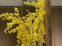 -翡翠江南(国贸商城店)