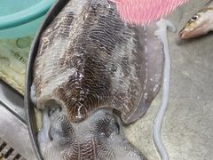 -板桥海鲜广场(文明东店)