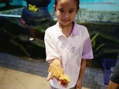 -上海大自然野生昆虫馆(东方明珠·爬宠昆虫探索中心)