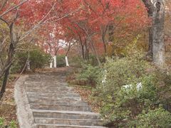 -岳麓山风景名胜区