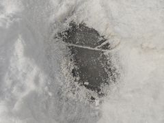 -吉林大学(前卫南校区)