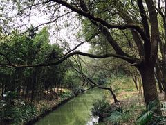 -同里国家湿地公园