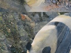 -泉州海丝野生动物世界