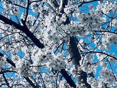 -龙美术馆西岸馆-停车场