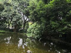 -成都市活水公园