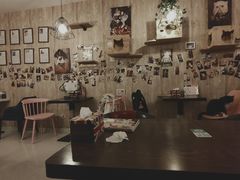 大堂-名猫咖啡馆·撸猫·拼豆