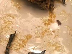 -御龙阁海鲜酒楼