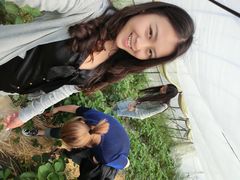 iphone_upload_pic-阿林有机农庄