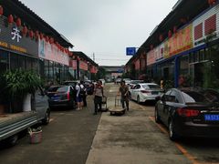 -金科花卉市场