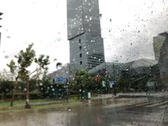 -嘉定凯悦·咖啡厅