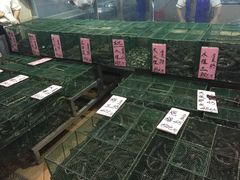 -荔城生鲜盛宴(番禺旗舰店)
