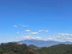 -护国寺小吃(左家庄店)