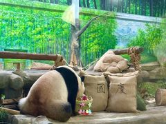 -灵玲国际马戏城