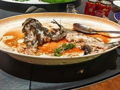 -曼格纳·曼芯馆(杨浦店)