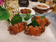 -骏莱海鲜鱼港(五角场店)