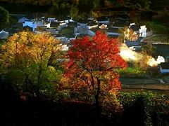 -塔川景区