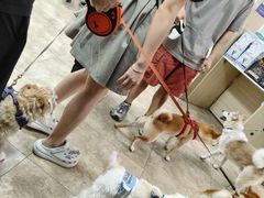 -美联众合动物医院·24h转诊中心