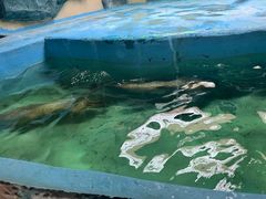 -青藏高原野生动物园