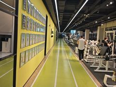 -Liking健身(哈尔滨旗舰店)
