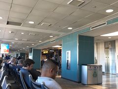 -罗纳德·里根华盛顿国家机场