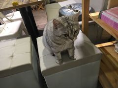 -小时光咖啡馆(开森度假森林店)