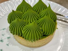 抹茶挞-猫里有甜