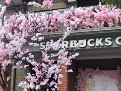 -星巴克臻选(思南公馆店)