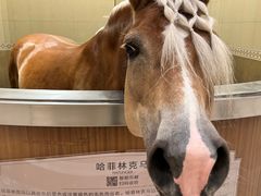 -海澜飞马水城