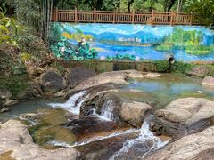 -广州白江湖森林公园