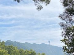 -深圳仙湖植物园
