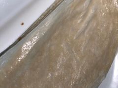 -老昌春饼(松北店)