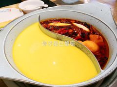 双味锅-青瓷火锅料理(西单大悦城店)