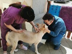 -美联众合宠物医院·爱萌分院·内外科·猫科中心