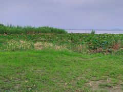 -七的湖·晚芳亭·阳澄湖农家菜·大闸蟹(莲花岛店)