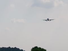 -空港花田景区