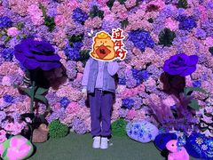 -顺德南宏海立方海洋公园