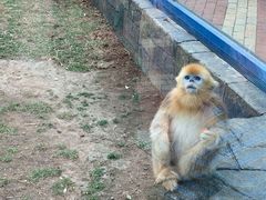 -大连森林动物园