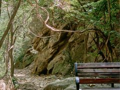 -大岭沟猕猴桃谷风景区