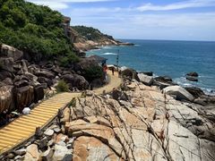 -广东惠东海龟国家级自然保护区