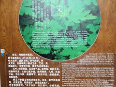 -李时珍纪念馆