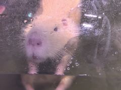 -正佳雨林生态植物园