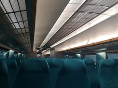 -龙阳路磁悬浮列车总站-停车场