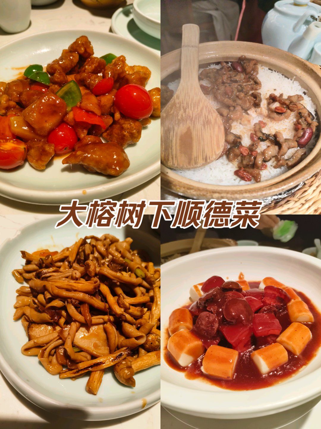 大榕树下顺德菜