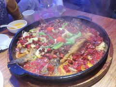 -老板恋上鱼(恒隆广场店)