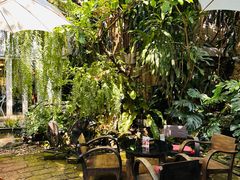 -Fern Forest Cafe
